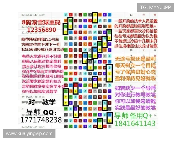 揭秘幸运飞艇最新开奖规律与投注技巧全面解析指南