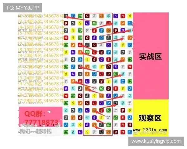 极速飞艇直播全程解析与技巧分享让你轻松掌握投注技巧