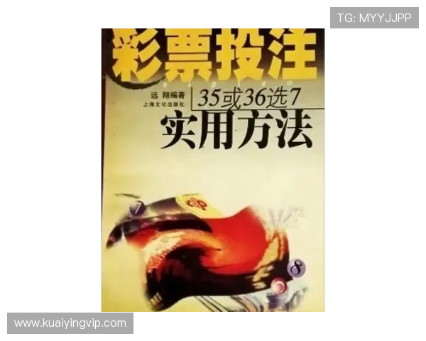 精准选号与风险控制结合的创新型彩票投注策略推荐