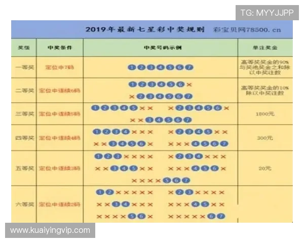 最新十一选五开奖分析与投注技巧全方位深度解读 最新十一选五开奖分析与投注技巧全方位深度解读